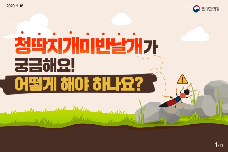 화상벌레 카드뉴스 표지.jpg