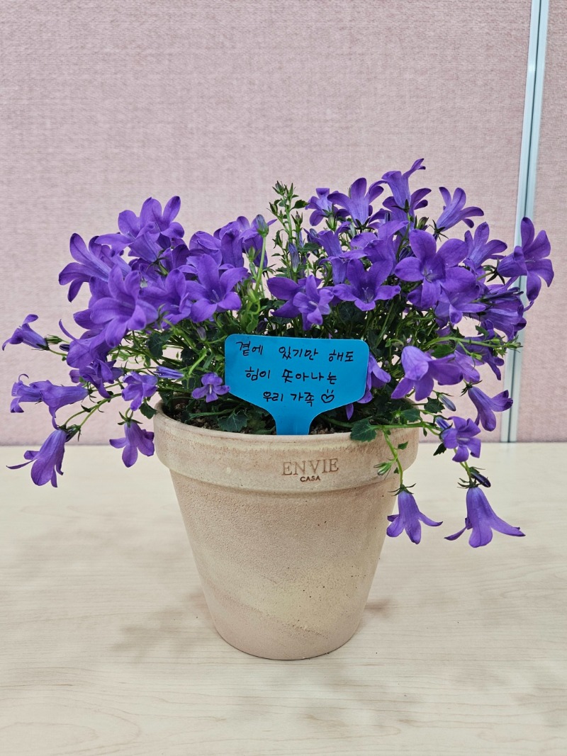 16 KakaoTalk_20240315_212455706_03.jpg