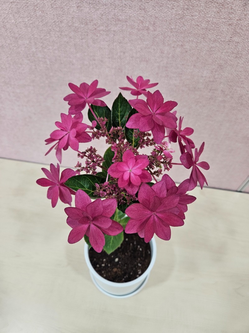 9 KakaoTalk_20240510_131110477_19.jpg