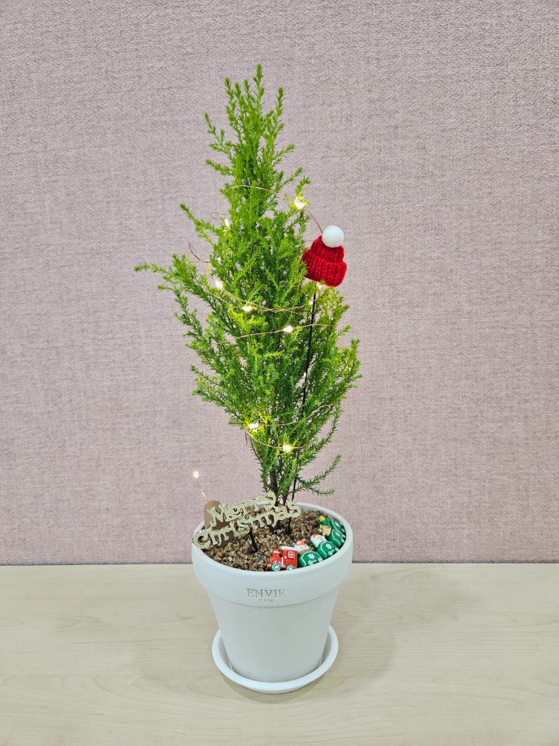13 KakaoTalk_20241115_174159605_21.jpg