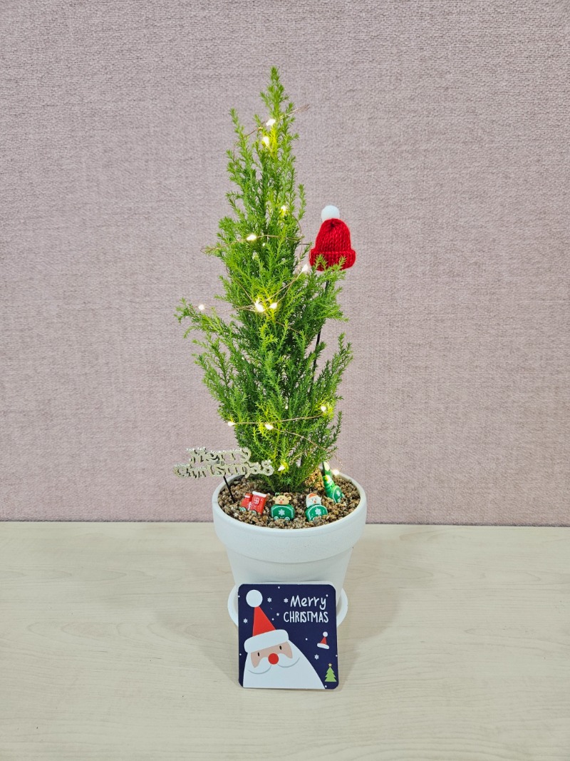 14 KakaoTalk_20241115_174159605_23.jpg