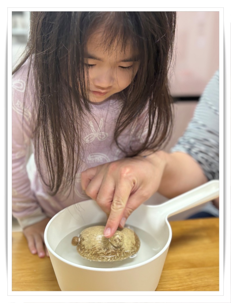 IMG_3570 - 장지은.jpeg