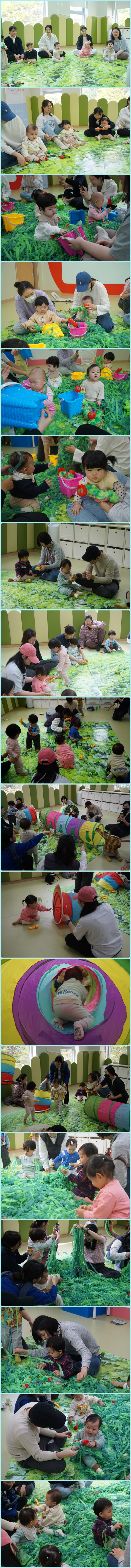 DSC01548-vert.jpg