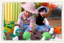 아이조아 플레이쿡 - 배추가 쑥쑥..