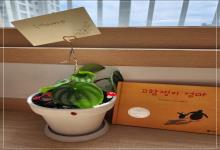 부모소모임-그림책 읽는 부모모임 '마음나눔..