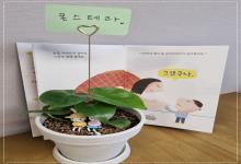 부모소모임-그림책 읽는 부모모임 '마음나눔..