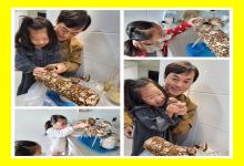 10월 아빠참여프로그램  - 나는야 버섯..