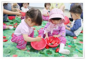 뮤직팡팡 창의나래-5월 3차 나무를 심자..