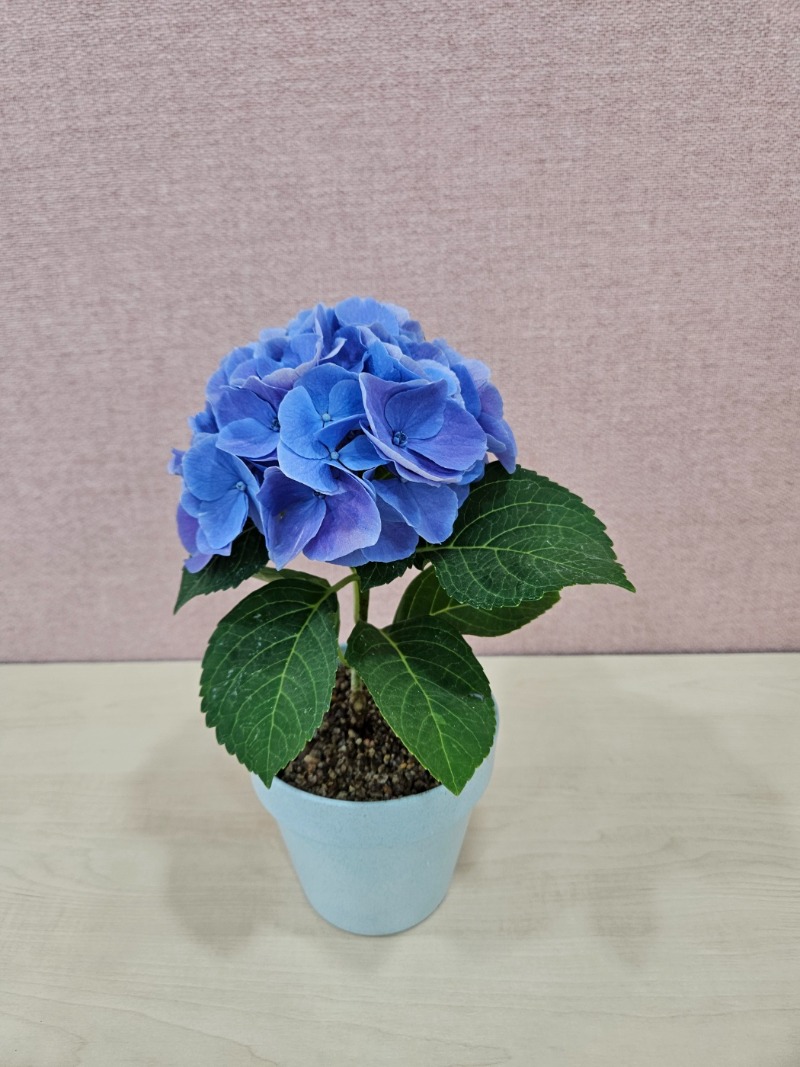 12 KakaoTalk_20250515_150527806_16.jpg