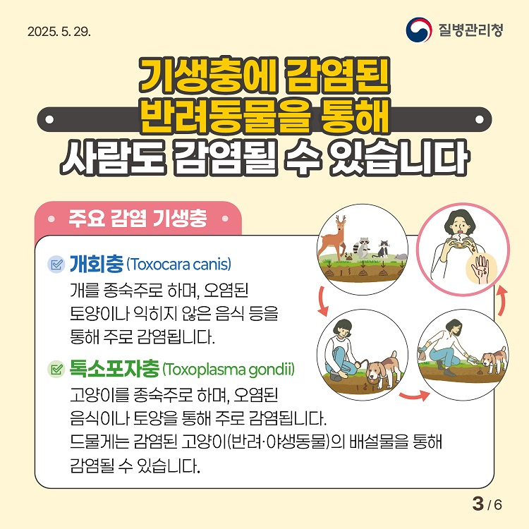 기생충감염병-카드뉴스3.png