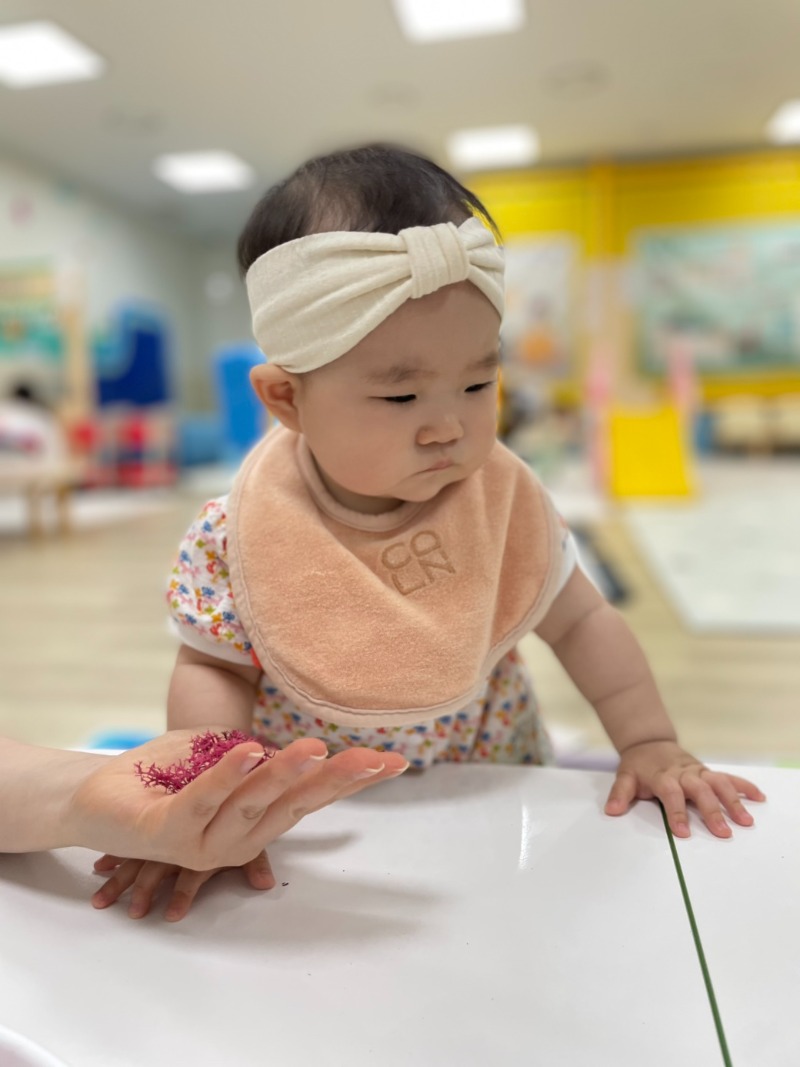 KakaoTalk_20250612_175848533.jpg
