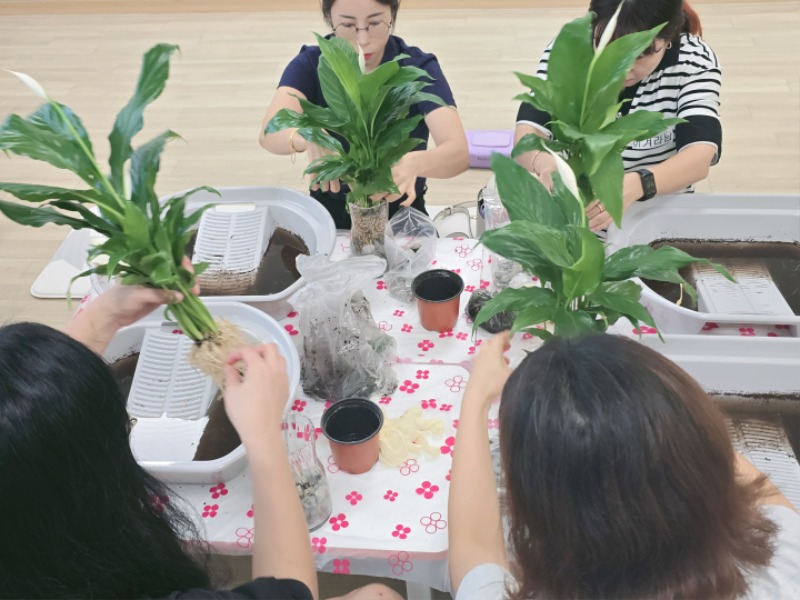 KakaoTalk_20250806_093011225_09.jpg