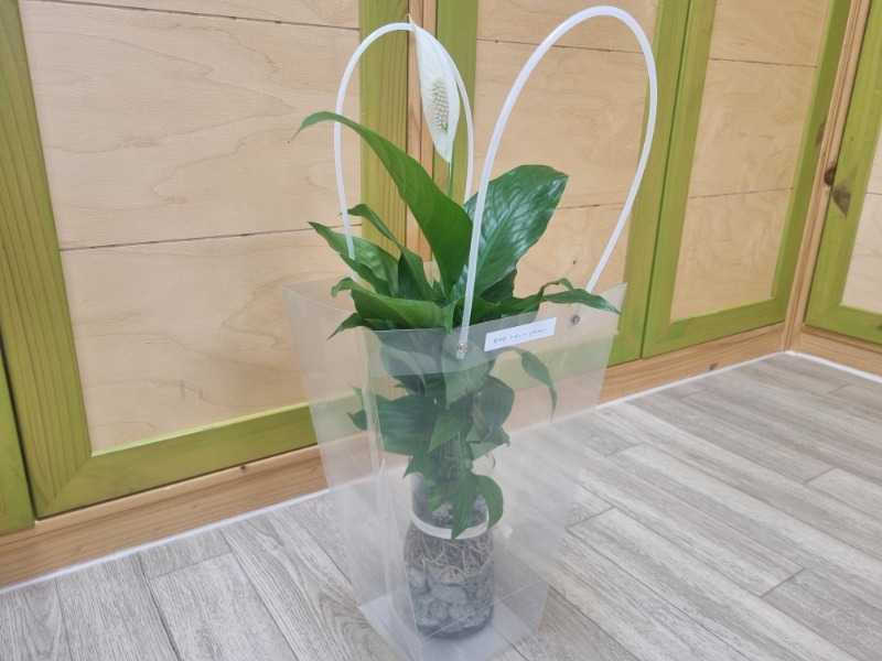 KakaoTalk_20250806_162242226.jpg