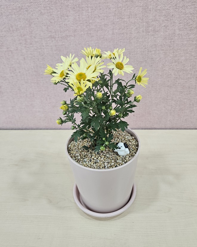 12 KakaoTalk_20251030_160545957_08.jpg