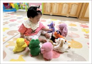 5월1주 시간제보육 - 다양한 동물이 있어요
