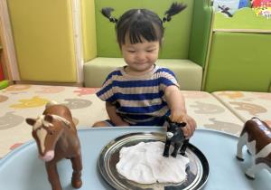 5월4주 시간제보육 - 좋아하는 동물이 ..