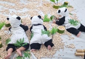 8월3차 방글방글베베터 - 숲속을 걸어요