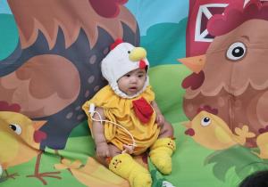 9월2차 방글방글베베터 - 꼬끼오 꼬꼬꼬!