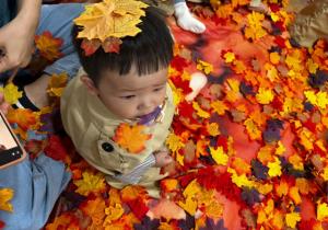 10월 1차 통통통 오감놀이