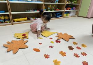 10월3주 시간제보육 - 가을 놀잇감으로 놀이해..